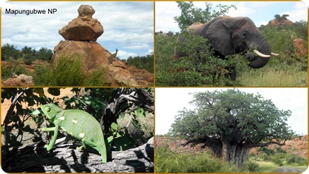 Mapungubwe NP