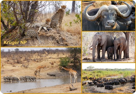 S&uuml;d Afrika 2018